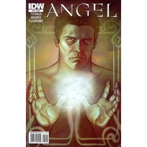 ANGEL #39 VF/NM COVER A IDW BUFFY SPIKE