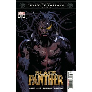 Black Panther (2018) #23 (#195) VF/NM Daniel Acuña Cover